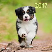 Dogs A&I 2017 Calendar