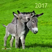 Donkeys A&I 2017 Calendar