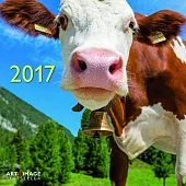 Cows A&I 2017 Calendar