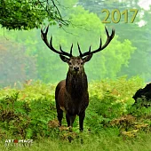 Forest & Meadow Animals A&I 2017 Calendar