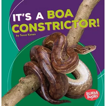 It’s a Boa Constrictor!