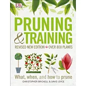 Pruning and Training, Revised New Edition: What, When, and How to Prune