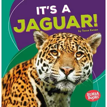 It’s a Jaguar!