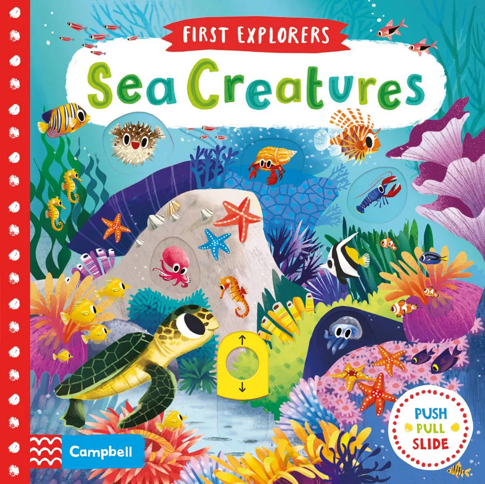小小探索家 Sea Creatures 幼兒遊戲書