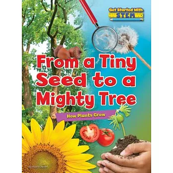 From a tiny seed to a mighty tree : how plants grow /