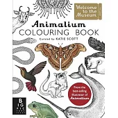 Animalium Colouring Book (Welcome to the Museum)