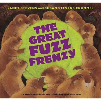 The great fuzz frenzy /