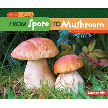 From spore to mushroom /