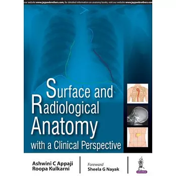 Surface and Radiological Anatomy With a Clinical Perspective
