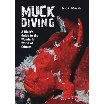 Muck Diving: A Diver’s Guide to the Wonderful World of Critters