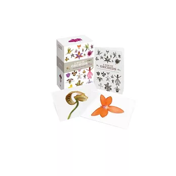 A Box of Orchids: 100 Beautiful Postcards