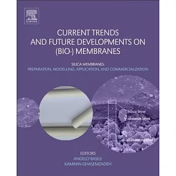 Current Trends and Future Developments on (Bio-) Membranes: Silica Membranes: Preparation, Modelling, Application, and Commercia