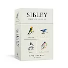 Sibley Birds of Land, Sea, and Sky: 50 Postcards