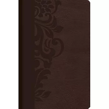 Holy Bible: Raina-Valera 1960 Biblia de estudio para mMujeres, Cafe simil piel, con indice /RVR 1960 Study Bible for Women, Brow