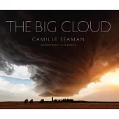 The Big Cloud
