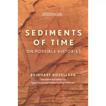 Sediments of Time: On Possible Histories