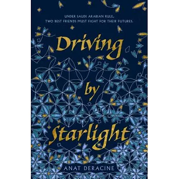 Driving by starlight /