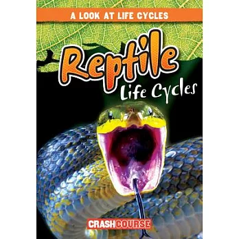 Reptile life cycles /