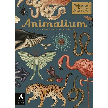 Animalium (Welcome To The Museum)