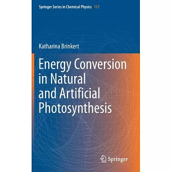 Energy Conversion in Natural and Artificial Photosynthesis