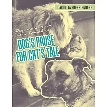 Dog’s Pause for Cat’s Tale: Dogs and Cats Can Form Friendships