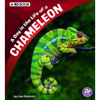 A Day in the Life of a Chameleon: A 4D Book