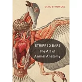 Stripped Bare: The Art of Animal Anatomy