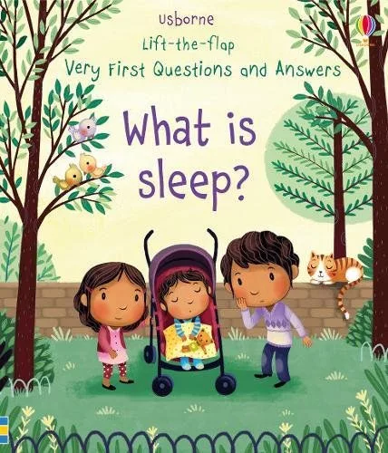 Q&A知識翻翻書：睡眠是什麼？（3歲以上）Lift-The-Flap Very First Questions and Answers: What is sleep?
