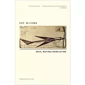 Race, Nation, Translation: South African Essays, 1990-2013