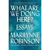 What Are We Doing Here?: Essays