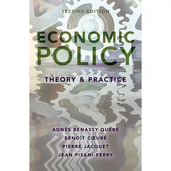 Economic Policy: Theory and Practice
