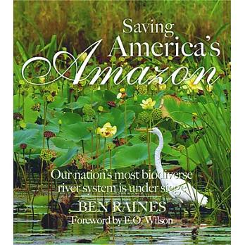 Saving America’s Amazon