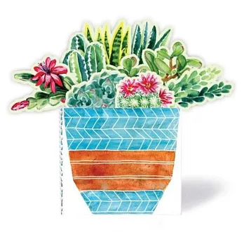 Succulents in a Book: Jacket Comes Off. Plants Pop Up. Display on Your Desk!