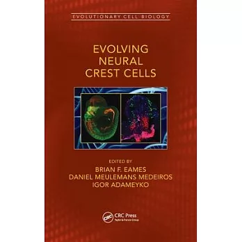 Origin and Evolution of Neural Crest Cells