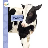 Calves