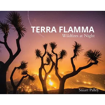 Terra Flamma: Wildfires at Night