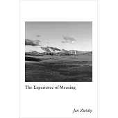 The Experience of Meaning