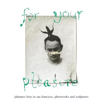 For Your Pleasure: Photoworks and Sculptures