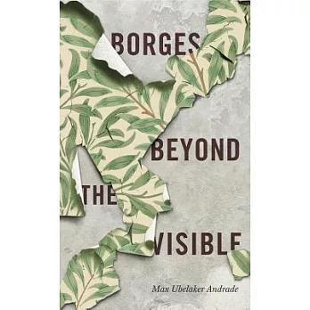 Borges Beyond the Visible