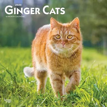 Ginger Cats 2020 Calendar
