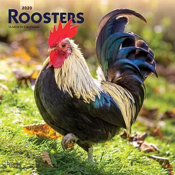 Roosters 2020 Calendar
