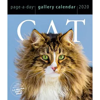 Cat Gallery 2020 Calendar