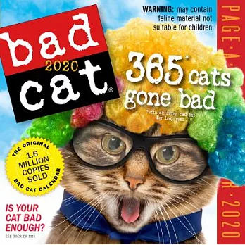 Bad Cat Color 2020 Calendar