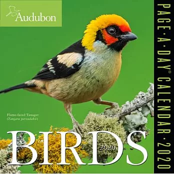 Audubon Birds Color 2020 Calendar
