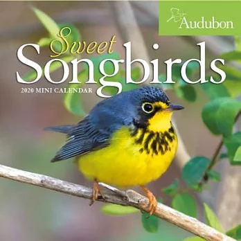 Audubon Sweet Songbirds 2020 Calendar