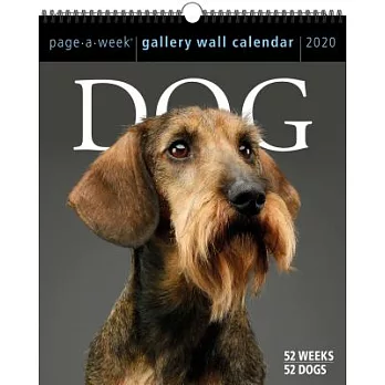Dog Page-a-week Gallery 2020 Calendar