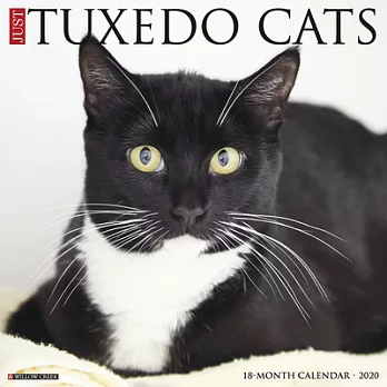 Just Tuxedo Cats 2020 Calendar
