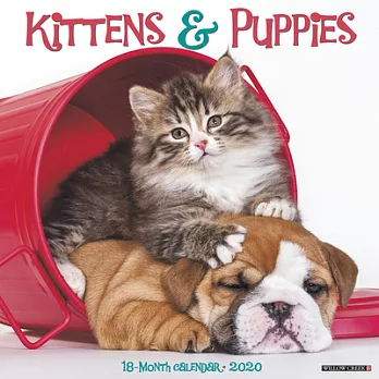 Kittens & Puppies 2020 Calendar