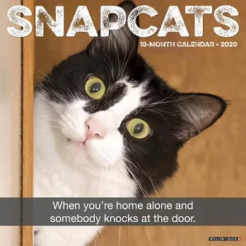 Snapcats 2020 Calendar