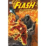The Flash by Geoff Johns 6